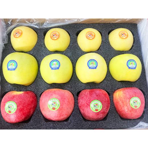 【洛川新品三色苹果】新鲜陕西洛川苹果水果 新三果12枚大果/小果精美手提礼盒装（秦脆+维纳斯黄金+瑞雪） 商品图3