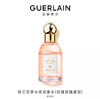 娇兰 花草水语淡香水（玫瑰玫瑰香型） 40ml  G062176-F 商品缩略图0