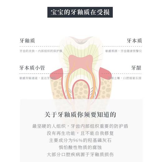贝利达幼儿护齿牙膏 50ml/支 商品图2