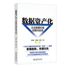 数据资产化：企业数据价值挖掘与实现 郑清元 郭培明 杨洋 主编 北京大学出版社