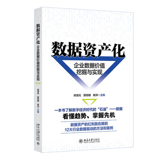 数据资产化：企业数据价值挖掘与实现 郑清元 郭培明 杨洋 主编 北京大学出版社 商品图0