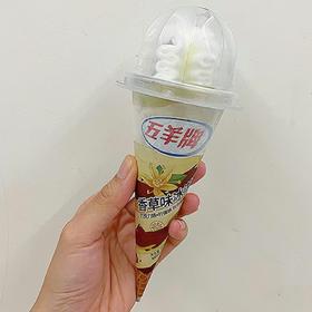 五羊牌香草味柠檬＋巧克力脆筒