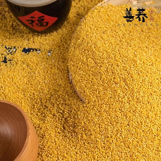 【秒杀25.12.19到期】会宁县善荞油香米250g（小米） 商品图1