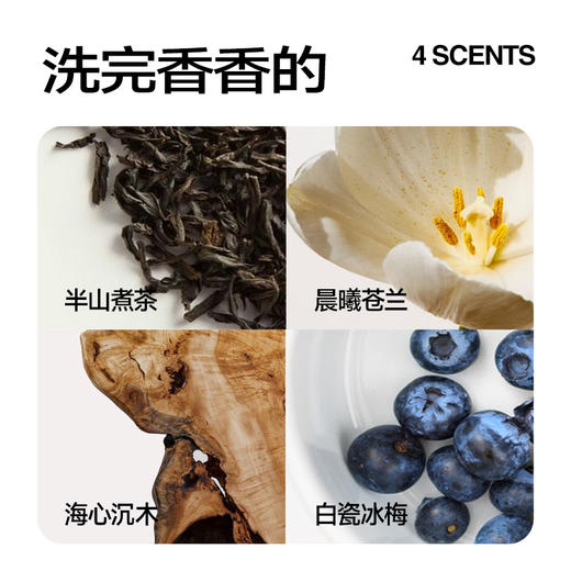 【29.9元3袋装】乐乐桉洗衣机清洁剂除菌除螨去异味免浸泡【家清大扫除专场】 商品图2