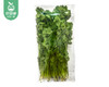 【叼鲜蔬】云南有机新鲜香菜/1份（约50g） 商品缩略图4