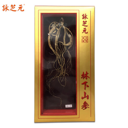 【咏芝元】小籽货小籽参林下籽野山参 10克/盒 15-18年以上参龄 性价比高 商品图2