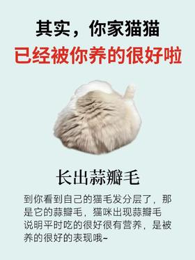 🐈其实你家猫咪已经被你养的很好啦