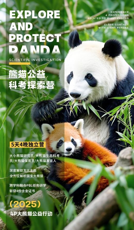 【2025】大熊猫公益科考探索营｜跨学科融合PBL 全方位解析大小熊猫，收获4份含金量证书！ 商品图0