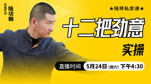 十二把劲意实操——直播教学（陆师亲授） 商品图0