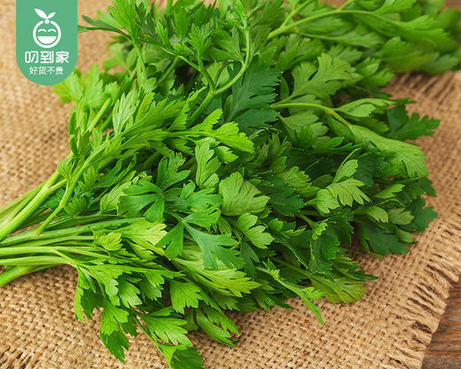 【叼鲜蔬】云南有机新鲜香菜/1份（约50g） 商品图3