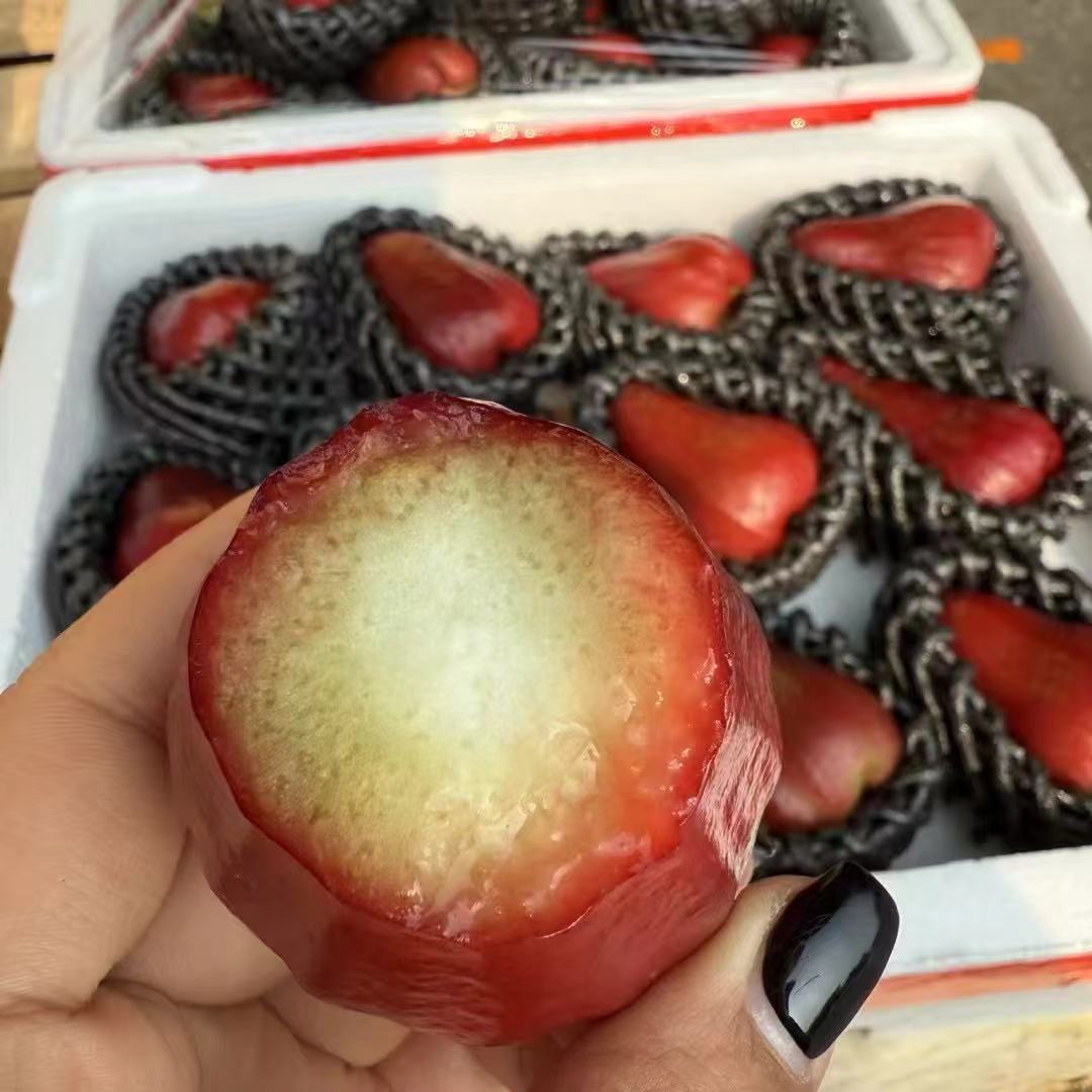 海南黑金刚莲雾约1.9斤9枚装   |水果