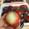 海南黑金刚莲雾约1.9斤9枚装   |水果 商品缩略图0