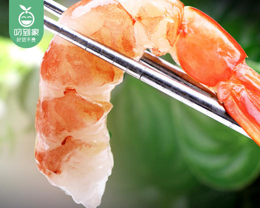 本港冰鲜大红虾/1份（约300g，9-11条） 商品图6