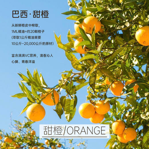 【双12大促】嘉媚乐甜橙单方精油  水光透亮  轻松愉悦 商品图3