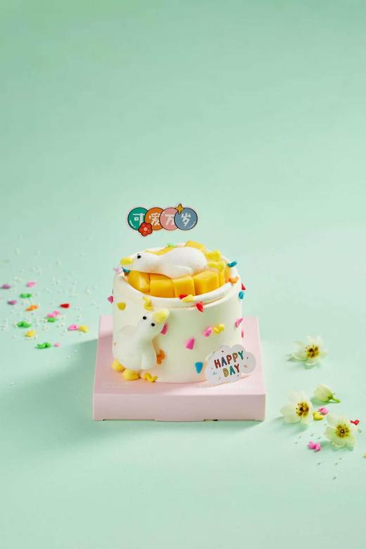 加油鸭04 商品图0