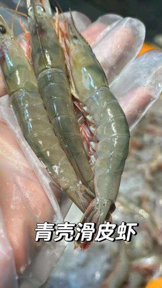 & 剑虾，滑皮虾，壳脆硬壳海虾，鲜甜补钙【活冻】 商品图1