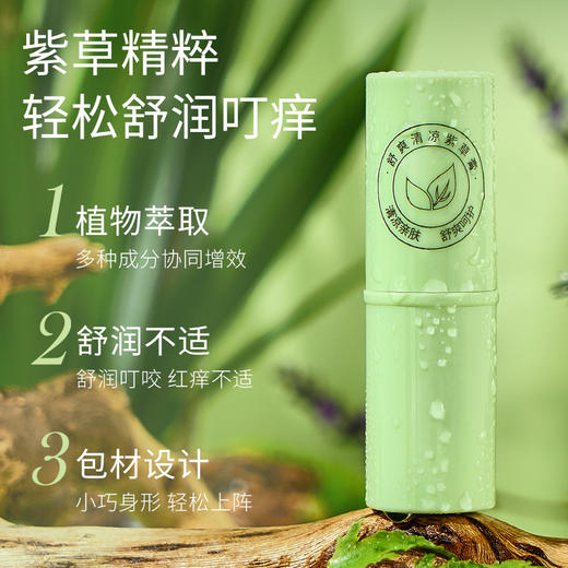 【家庭装5支】TWG舒爽清凉紫草膏 夏季清凉舒爽呵护 紫草精粹 舒润沁肤 唇膏设计 好用方便 7g/支 商品图2