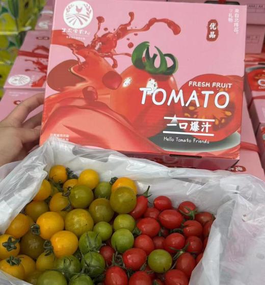 一口爆汁4色小番茄 约1.8斤/箱   |水果 商品图2