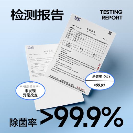【3袋装共36条】乐乐桉水杯除垢剂 食品级配方咖啡渍茶渍水渍清洁剂杯子茶壶水杯除垢剂【家清大扫除专场】 商品图3