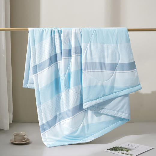 水星家纺 DH琴歌细语抗菌夏被 商品图7