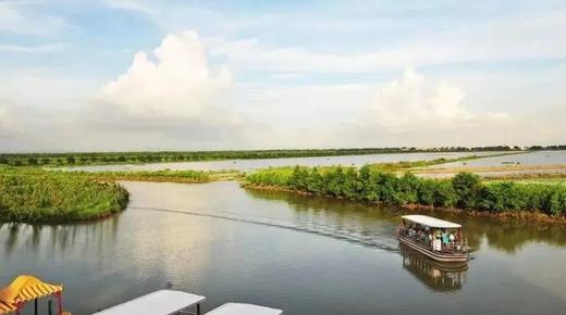 【绿美湾区•绿色全运】南沙湿地公园、南沙水上运动基地 商品图4