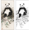 王申勇花鸟工笔画白描底稿《熊猫》临摹勾线高清打印稿A676 商品缩略图0