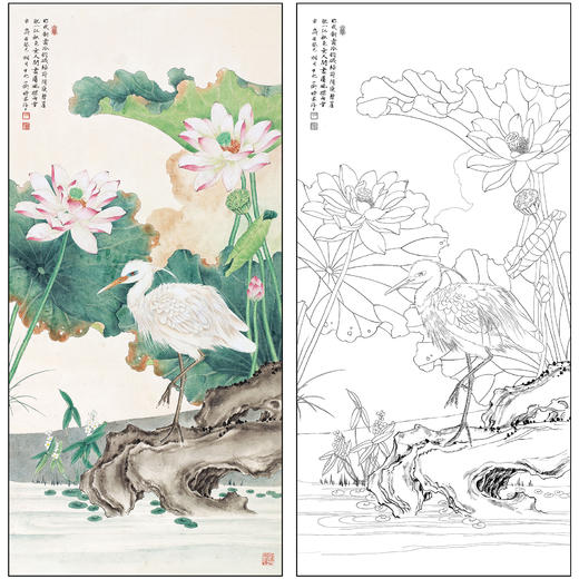 吕大卫花鸟工笔画白描底稿荷花《莲池仙禽》临摹勾线高清打印稿A682 商品图0