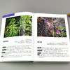 500种常见野花野草识别图鉴（彩图典藏版） 商品缩略图3