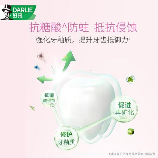 好来茶倍健茉莉白茶１９０ｇ/支 商品图2