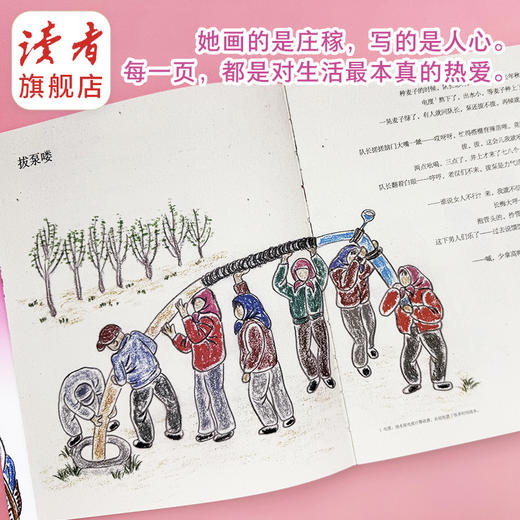 《沙漠里生长着诗意：田鼠大婶的画》 随笔集 西北村庄二十四节气里的小故事 裴爱民/著绘 裸脊线装 读者出版社 商品图5