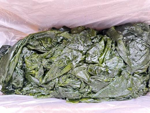 福建霞浦盐浸海带边（鲜）9.8元1箱约3斤，明天到 商品图2