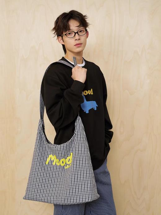 MoodLikeMe/MPS2511/格纹斜挎大容量托特包 商品图2