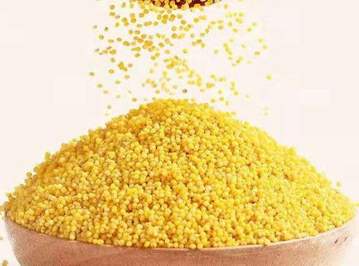 北纯 敖汉黄小米2.5kg 商品图0