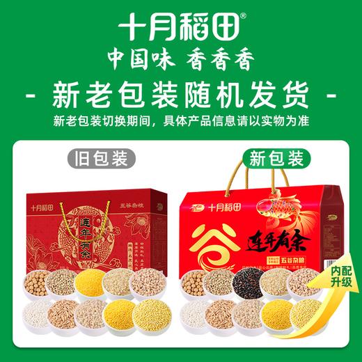 十月稻田 连年有余十种杂粮礼盒 4kg 商品图0