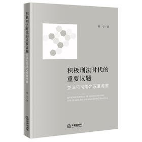 积极刑法时代的重要议题：立法与司法之双重考察 敦宁著 法律出版社