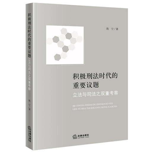 积极刑法时代的重要议题：立法与司法之双重考察 敦宁著 法律出版社 商品图0