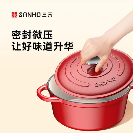 三禾铸铁珐琅锅ZT22A4 商品图3