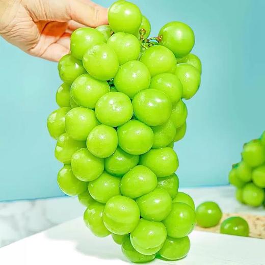 阳光青提（约1.8-2斤）/件 /件 商品图0