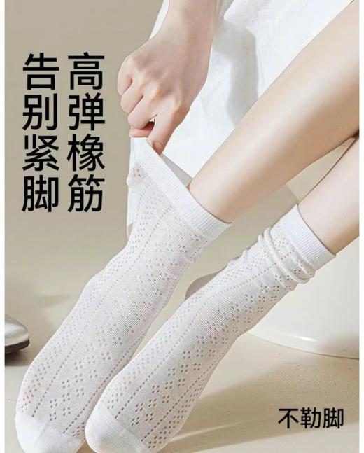 长绒棉超薄网眼女袜BW38537 商品图0