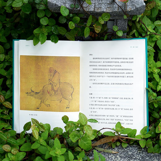 道德经（全彩图本） 商品图5