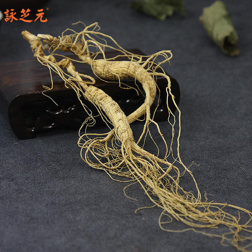 【咏芝元】小籽货小籽参林下籽野山参 10克/盒 15-18年以上参龄 性价比高 商品图0