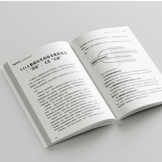 数据资产化：企业数据价值挖掘与实现 郑清元 郭培明 杨洋 主编 北京大学出版社 商品图3