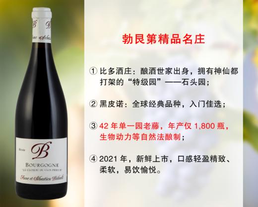 【现货促销，整箱更优惠】勃艮第超高性价比精品名庄：比多酒庄克洛斯单一园干红（2021年） 商品图0