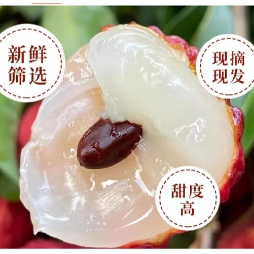 白糖荔枝  约500G /份 商品图0