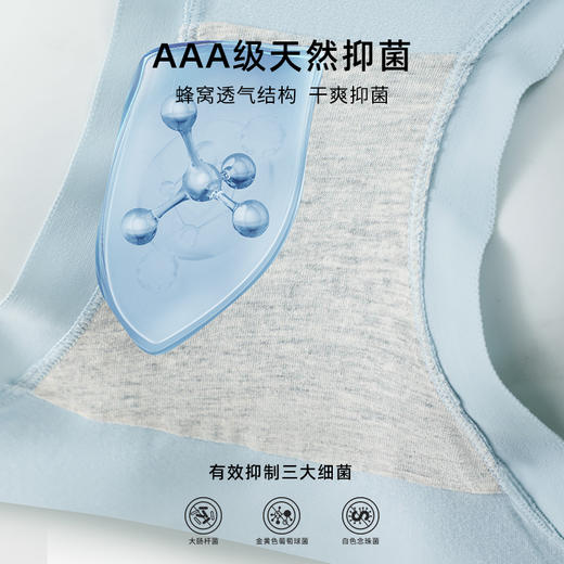 【提臀高腰，50支莫代尔】【钜惠3条装】莫代尔高腰收腹内裤女士纯棉全棉裆透气高腰包臀女生短裤100% 商品图2