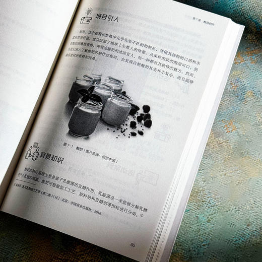 高中劳动教育系列丛书4册 悦享生活 美食美物 学科融合 角色担当 孙宝山主编 商品图7