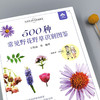 500种常见野花野草识别图鉴（彩图典藏版） 商品缩略图1
