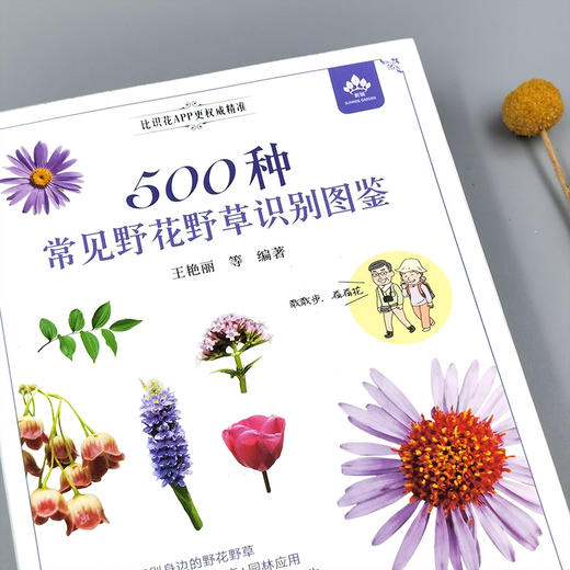 500种常见野花野草识别图鉴（彩图典藏版） 商品图1