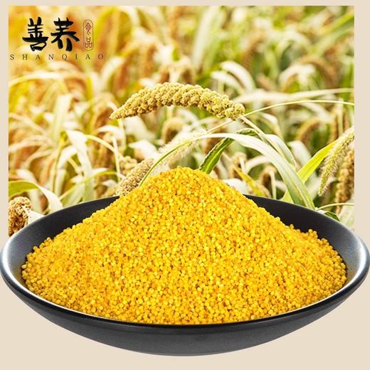 【秒杀25.12.19到期】会宁县善荞油香米250g（小米） 商品图0