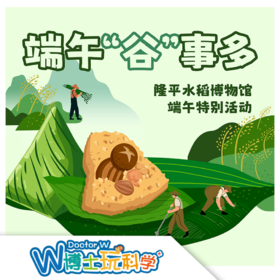 W博士玩科学｜【研学课程-端午“谷”事多】